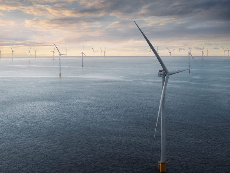 Dieses gerenderte Bild zeigt den Windpark Dogger Bank in der mittleren bis südlichen Nordsee, der sich über Wasserflächen im Vereinigten Königreich, Deutschland, Dänemark und den Niederlanden erstreckt.