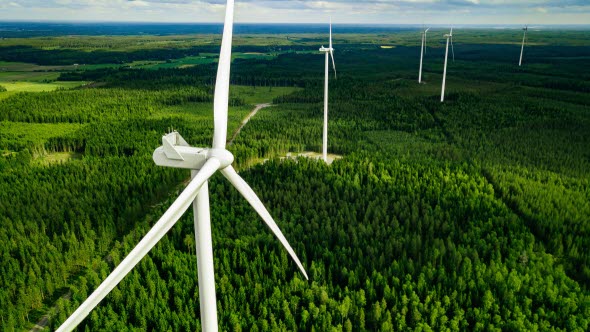 Windpark in einem Waldgebiet